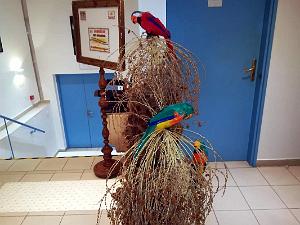 a034- Agay igesa